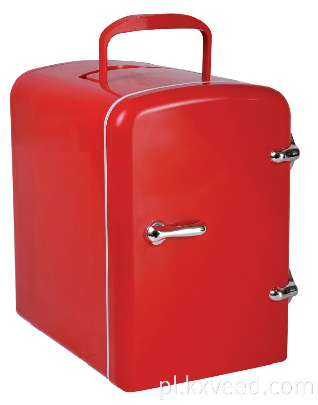 12V 110V-220V mini lodówka lodówka termoelektryczna chłodnica i cieplejsza lodówka 4L chłodnicy